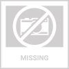 Airline Approved Folding Zippered Sporty Mesh Pet Carrier