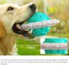 Training Interactive Flying Saucer Dog Toothbrush