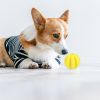 Dog Squeaky Chew Toy ;Tooth Cleaning Ball Bite Resistant